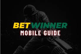 Todo lo que necesitas saber sobre Betwinner Betting Platform 13